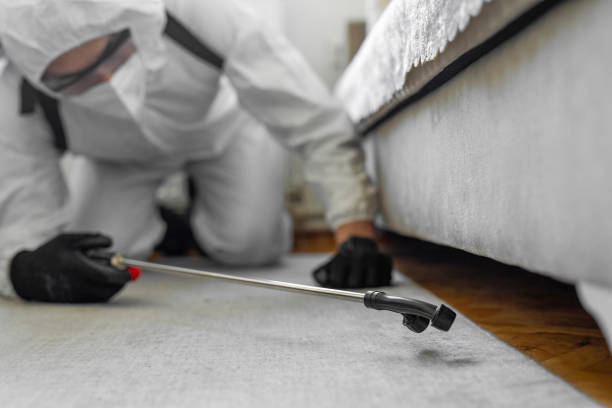 Professional Cockroach Control technician working in Concordia, NJ